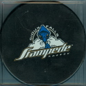 The Stampede is based out of Sioux Falls, South Dakota. These two styles were available through the team store. the black puck is also a game style puck with USHL logo on back, the white one is a souvenir puck with no reverse logo. 2004-05 season marked their fifth year anniversary.