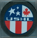 USHL Reverse No Ring 1994-95 & 1995-96. This was a common design during the mid 90's. Full color logo, no outside ring.